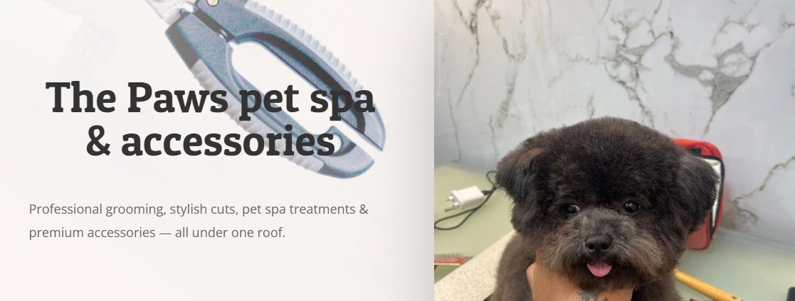 The Paws Pet Spa