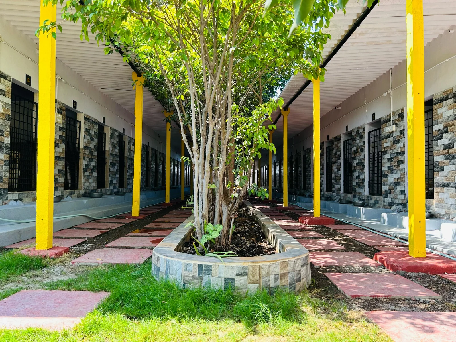 JSSS Farm And Kennels