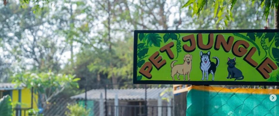Pet Jungle
