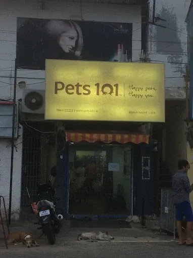 Pets 101