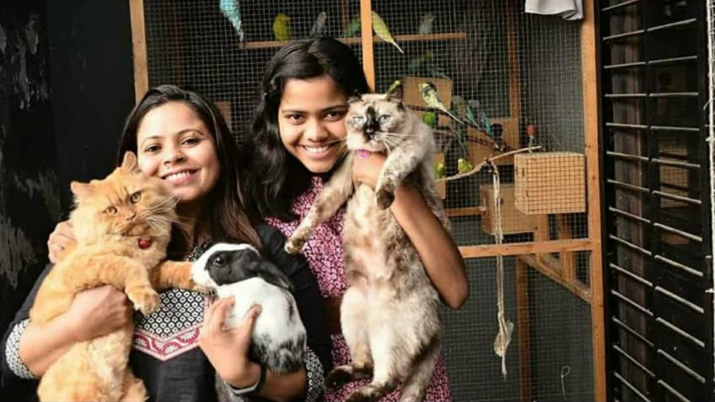 Sammy's Nest for Pets