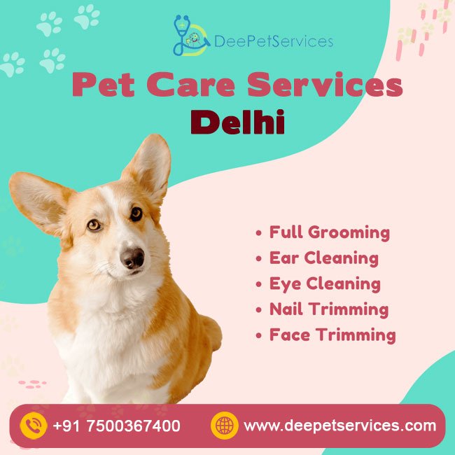 Dee Pet Services