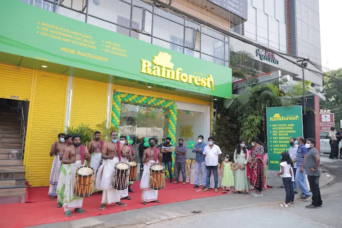 Rainforest Pets & Plants