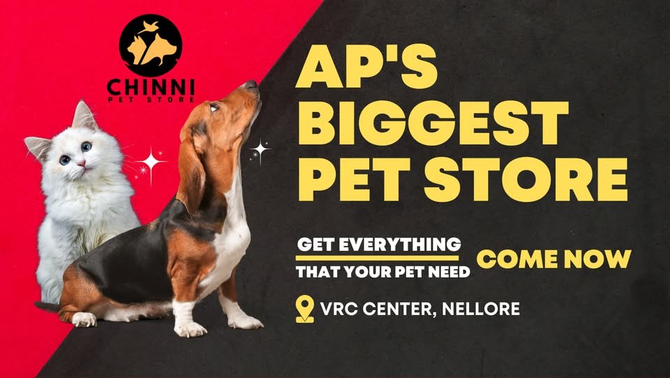 Chinni Pet Store