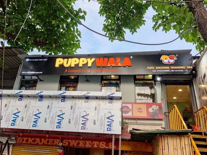 Puppy Wala